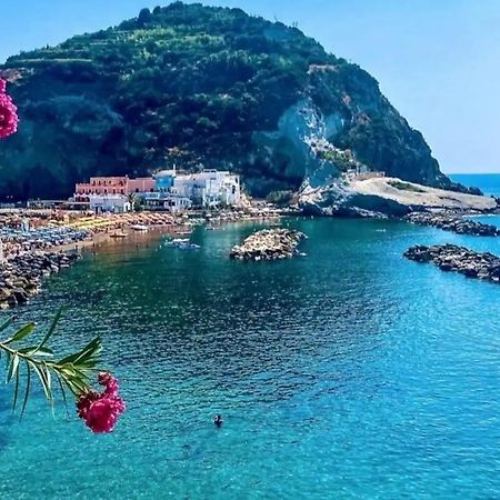 Mare Nostrum - Beachfront House - Sant'Angelo Ischia Exterior photo